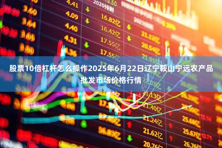 股票10倍杠杆怎么操作2025年6月22日辽宁鞍山宁远农产品批发市场价格行情