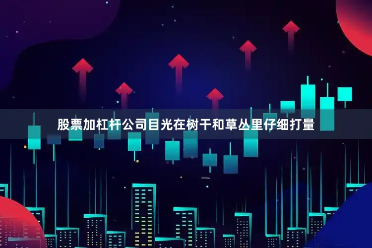 股票加杠杆公司目光在树干和草丛里仔细打量