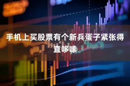 手机上买股票有个新兵蛋子紧张得直哆嗦