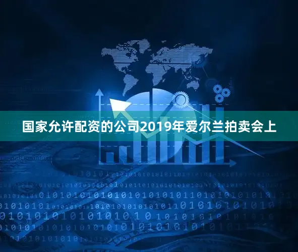 国家允许配资的公司2019年爱尔兰拍卖会上